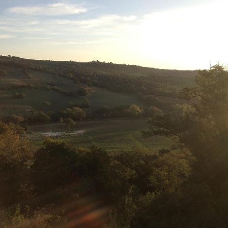 Le Tartarughe Rooms Magliano in Toscana Exterior foto